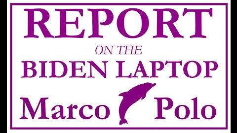 Report on the Biden Laptop - Garrett Ziegler