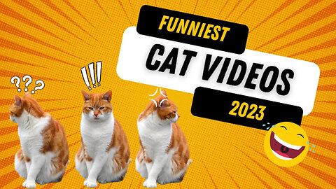 Hilarious Animal Antics: Cats, Dogs, and More! Funny Animal Videos 2023