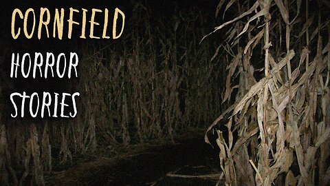3 Terrifying TRUE Cornfield Horror Stories