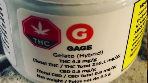 GELATO by Gage | Review #36
