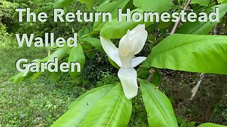 Tour our Secret Hidden Garden - Part 1