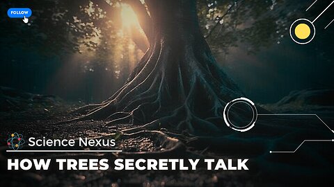 The Secret Communication of Trees: How Forests Silently Share Information and Resources