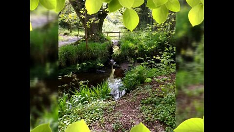 Parkanur Forest Park, Northern Ireland, images