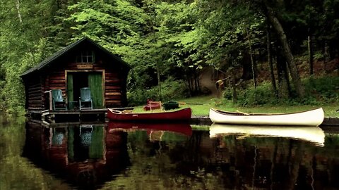 Nature Sounds of Cozy Cabin in the Woods