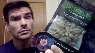 LIVE THCA Bud Battle (Pancakes) Dr Ganja VS. JK Distro