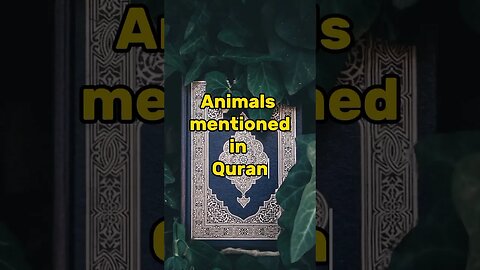 Animals mentioned in Quran #youtubeshorts #islamicvideo #quran #animals