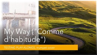 My Way ("Comme d'habitude"), Trumpet Cover