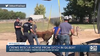 Gilbert firefighters rescue horse after it fell in a ditch Wednesday