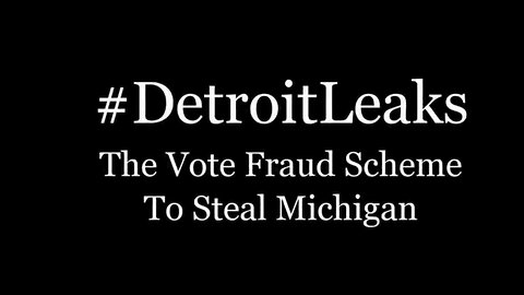 DETROIT ELECTION TRAINING