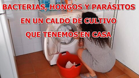 BACTERIAS HONGOS Y PARASITOS EN UN CALDO DE CULTIVO QUE TENEMOS EN CASA EN EL HOGAR