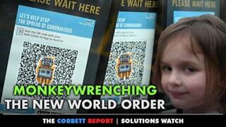 Monkeywrenching the New World Order - #SolutionsWatch