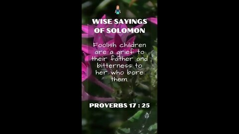 Proverbs 17:25 | NRSV Bible - Wise Sayings of Solomon