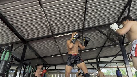 Light Sparring Boxing Thailand