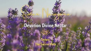 Devotion - Divine Néctar