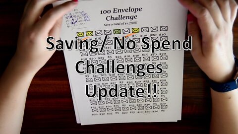 Saving/No Spend Challenge Update