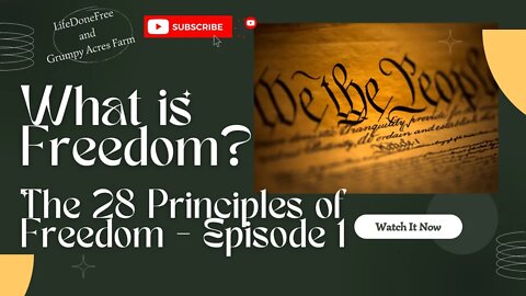 What is Freedom? 28 Principles of Freedom - Episode 1
