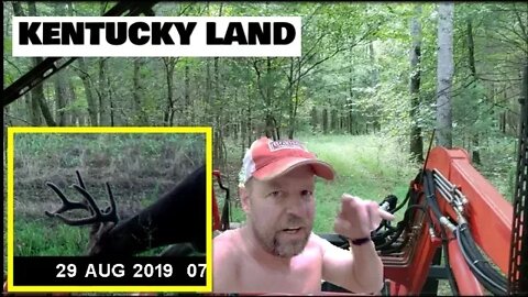 Kentucky VLOG Knotty pine update trail cams & deep woods