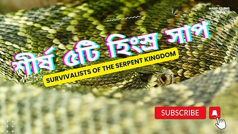 বিশ্বের শীর্ষ ৫টি সবচেয়ে হিংস্র সাপ: Survivalists of the Serpent Kingdom