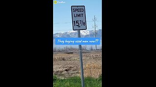 funny signs