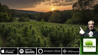 Cannabis in Connecticut