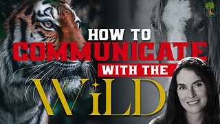 How To Communicate With The Wild