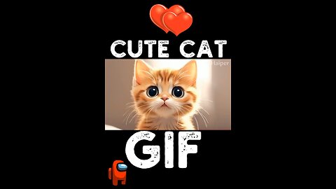 Cute Cat Gif