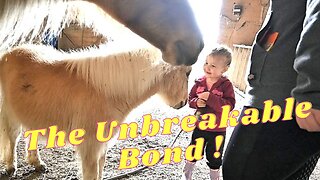 The Unbreakable Bond Between A Little Girl And A BABY Horse!