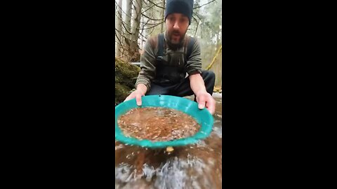 How much money you can make by gold panning