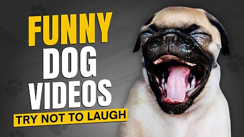 Funny dog🐕cute dog 🐶 video 🤪🤪 try not to laugh 🙊🙊