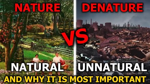 Unnatural vs Natural (Denature vs Nature) & True Naturalization (In-Depth Perspectives)