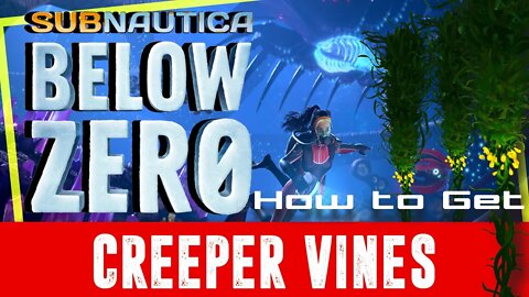 Subnautica Below Zero Creeper Vines [A Helpful Material Guide]