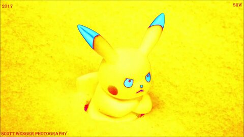 Pikachu Yellow power - Scott Wenger Photography - Pika yellow