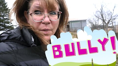 We Are Having Problems With A BULLY!