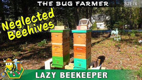 Neglected Beehives -- Pine and Teal Finally Get a Pre-Winter Inspection ; Winter prep continues.