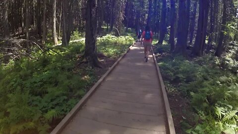 Hike to Avalanche Lake in Glacier National Park