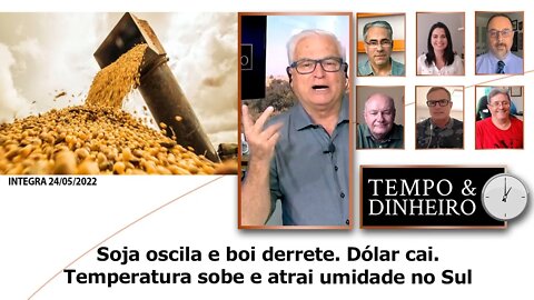 Soja oscila e boi derrete. Dólar cai. Temperatura sobe e atrai umidade no Sul