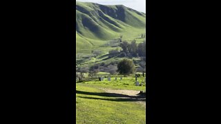 Rose Hill Cemetery @ Black Diamond Mines Regional Preserve