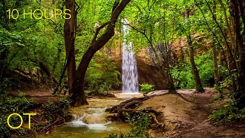 Forest Waterfall| Flowing Water and Atmospheric Wilderness Sounds for Relaxation| Studying| Sleeping
