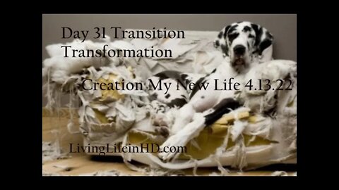 Day 31 Transition Transformation Creation My New Life 4.13.22