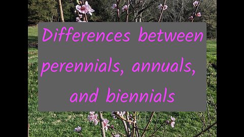 Differences between Perennials, Annuals, and Biennials