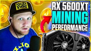 XFX RX 5600 XT RAW II Hashrate! | ETH RVN XMR MTP and More!