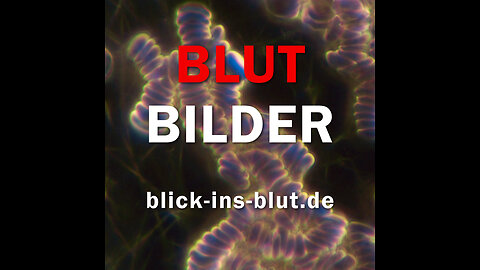 Blick ins Blut | Blut-Bilder