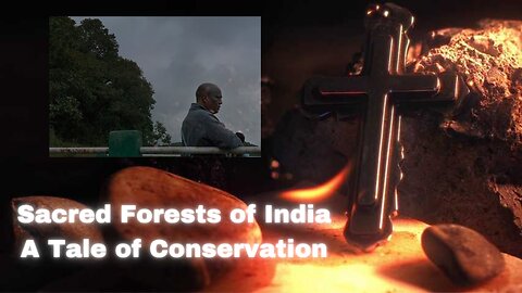 Sacred Forests of India: A Tale of Conservation †