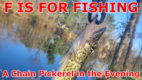 A Chain Pickerel in the Evening