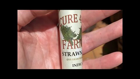 Cure 420 Farms Pre Roll Taste Test