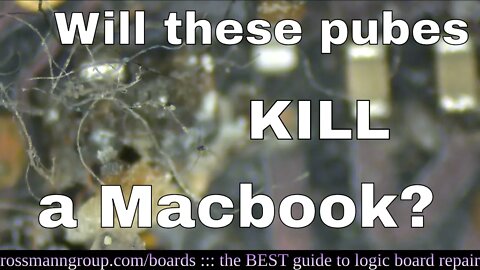 How many pubes does it take to kill a Macbook?