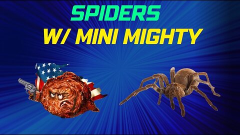 Spiders with Special guest Mini Mighty!
