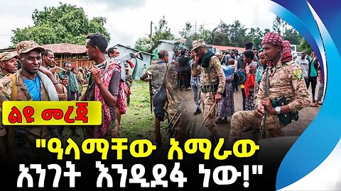 "ዓላማቸው አማራው አንገት እንዲደፋ ነው!" | አማራ ፋኖ | ethiopia | addis ababa | amhara | oromo