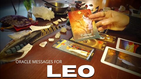 Oracle Messages For Leo | Creating REAL Security | You Are Tapped In, Brilliant & Amazing, Leo!