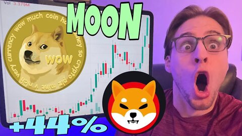 Shiba Inu Coin and Dogecoin TAKING OFF MASSIVELY!!! ⚠️